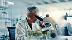 Microscope, leaf and science with woman in laboratory for gene function, biology and medical research. Gmo editing, pharmacy innovation and cell regeneration with person for growth and study