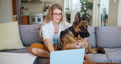 Buy stock photo Laptop, online and dog with woman on sofa for pet insurance research, premium benefits and reading. Animal policy cover, typing and application with person and german shepherd at home for vet claims