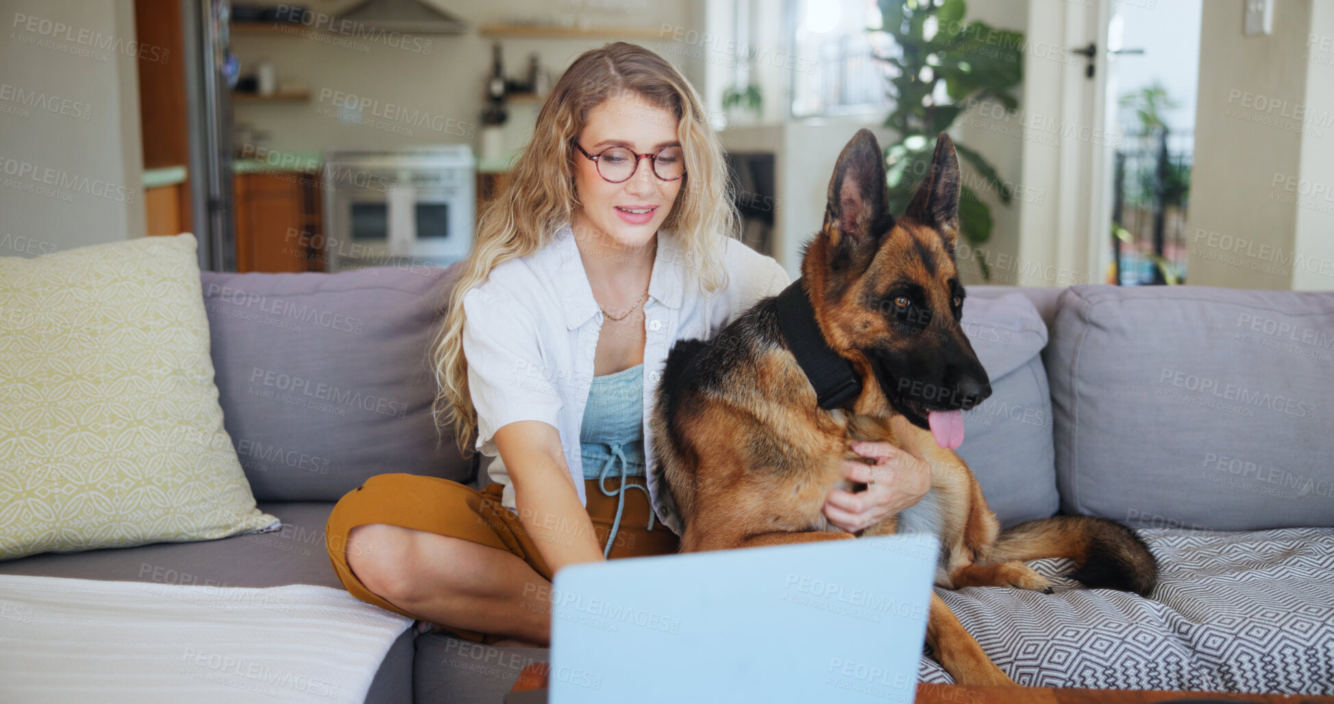 Buy stock photo Laptop, online and dog with woman on sofa for pet insurance research, premium benefits and reading. Animal policy cover, typing and application with person and german shepherd at home for vet claims