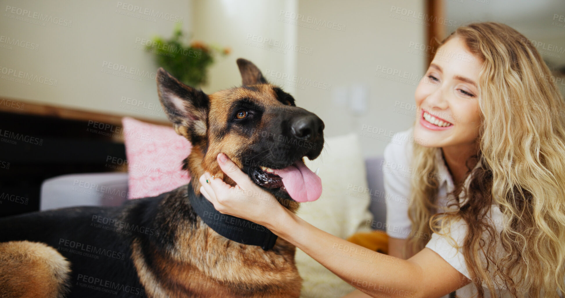 Buy stock photo Home, woman and affection for dog, petting and love for german shepherd in living room and adoption. Happy, owner and person with rescue animal in lounge, bonding and care for canine with loyalty