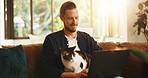 Man, relax and laptop on sofa with cat, social media and pet for bonding in home. Person, animal friend and tech in living room for streaming subscription, email notification and download new app