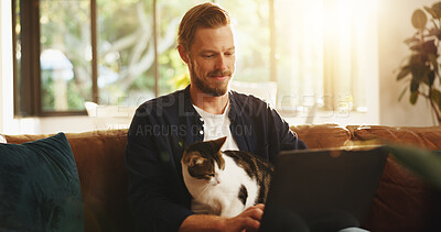 Buy stock photo Man, relax and laptop on sofa with cat, social media and pet for bonding in home. Person, animal friend and tech in living room for streaming subscription, email notification and download new app