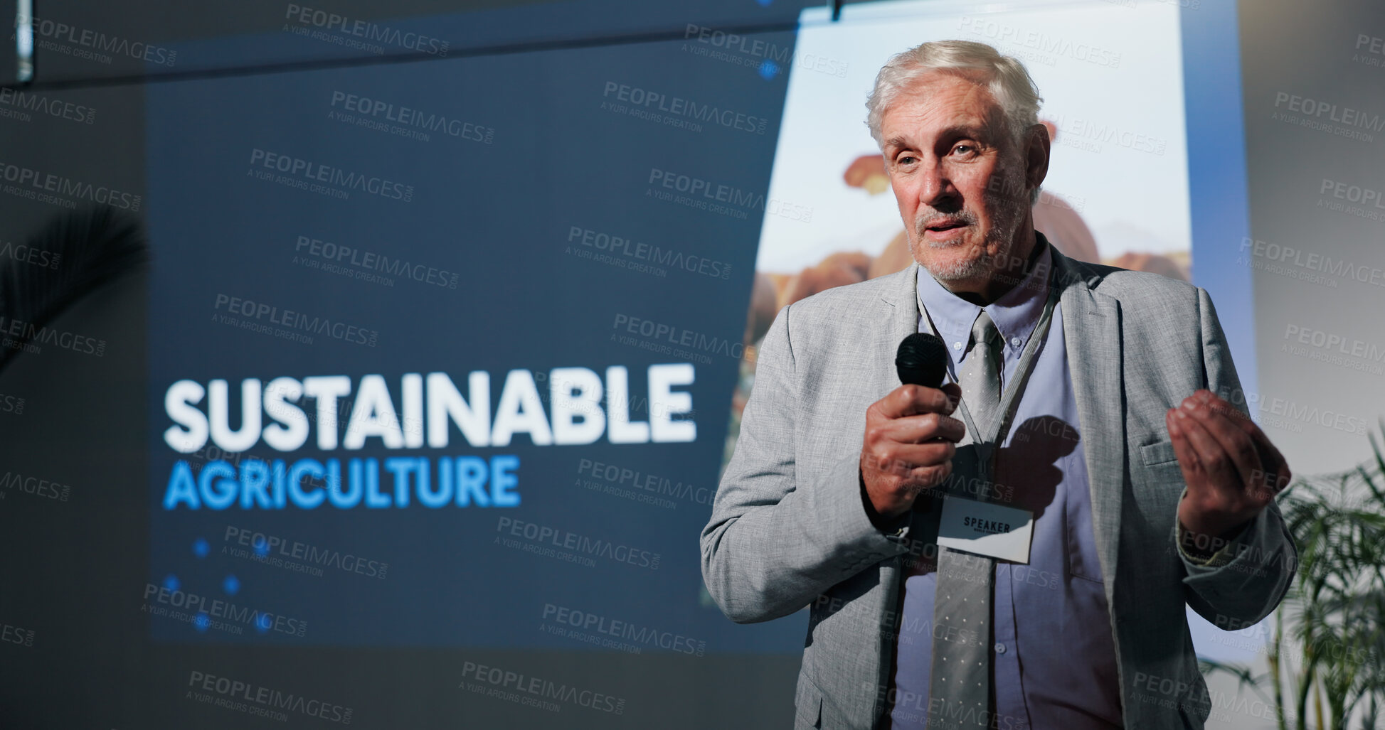 Buy stock photo Microphone, presentation and seminar with business man in auditorium for sustainable agriculture. Development, speech and symposium with mature speaker on podium or stage for farming conference