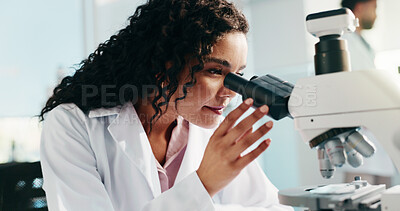 Buy stock photo Microscope, woman and scientist in laboratory for medical research, study or analysis for breakthrough. Science, biotechnology and female biologist with pharmaceutical investigation for innovation.