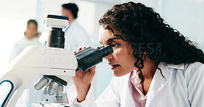 Buy stock photo Microscope, woman and scientist in laboratory for study, research or analysis for medical breakthrough. Science, biotechnology and female biologist with pharmaceutical investigation for innovation.