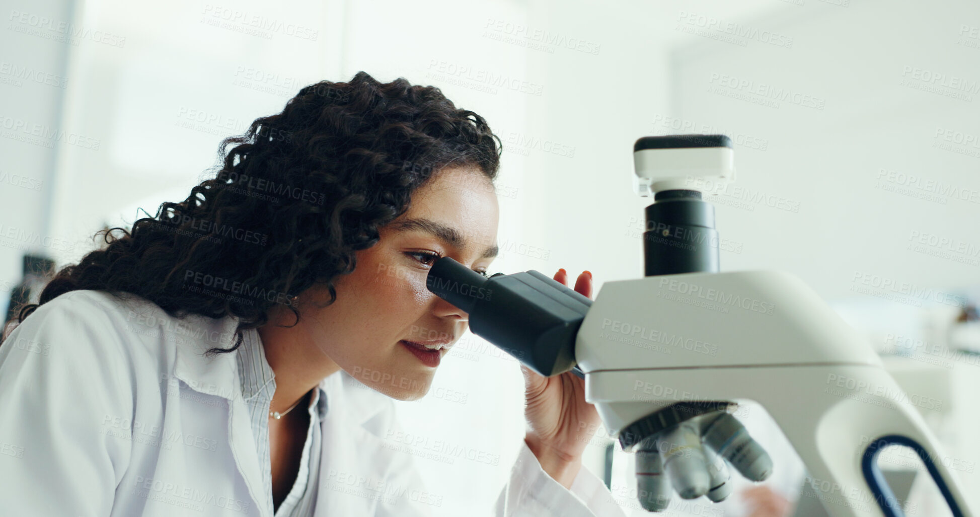 Buy stock photo Scientist, study and woman with microscope in lab for clinical trial, sample testing or experiment. Science, innovation and employee with medical equipment for cancer research and vaccine development