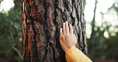 Buy stock photo Bark, forest and hand to touch tree outdoor as naturalist, environmentalist or nature lover. Connection, appreciation or closeup of hiker person with texture, earth day and care for environment