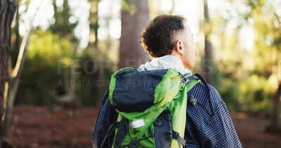 Buy stock photo Thinking, back view and man hiking in forest for fitness and walking with bag, hobby and adventure. Sightseeing, holiday and person trekking in woods with environment, nature and journey to explore