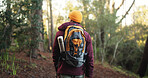 Travel, back view and man hiking in woods for fitness and energy with bag, hobby and adventure. Outdoor, holiday and male person trekking in forest with environment, nature and journey to explore