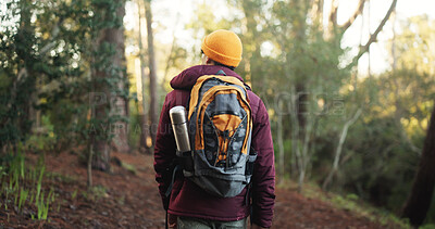 Buy stock photo Travel, back view and man hiking in woods for fitness and walking with bag, hobby and adventure. Outdoor, holiday and male person trekking in forest with environment, nature and journey to explore