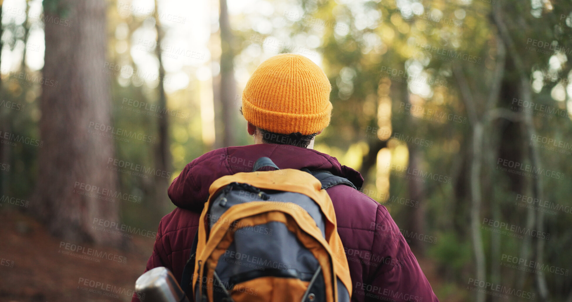 Buy stock photo Travel, back view and man hiking in forest for fitness and energy with bag, hobby and adventure. Outdoor, holiday and male person trekking in woods with environment, nature and journey to explore