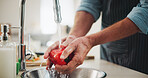 Washing, vegetables and person in kitchen, hands and cleaning for hygiene and dirt removal in house. Home, water and rinsing of tomato for freshness, nutrition and prevention of germs or bacteria