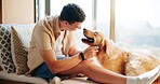 Man, golden retriever and happy on sofa, home or windowsill with care, connection and love in morning. Person, pet or dog with touch, stroke and relax together in living room with play at apartment
