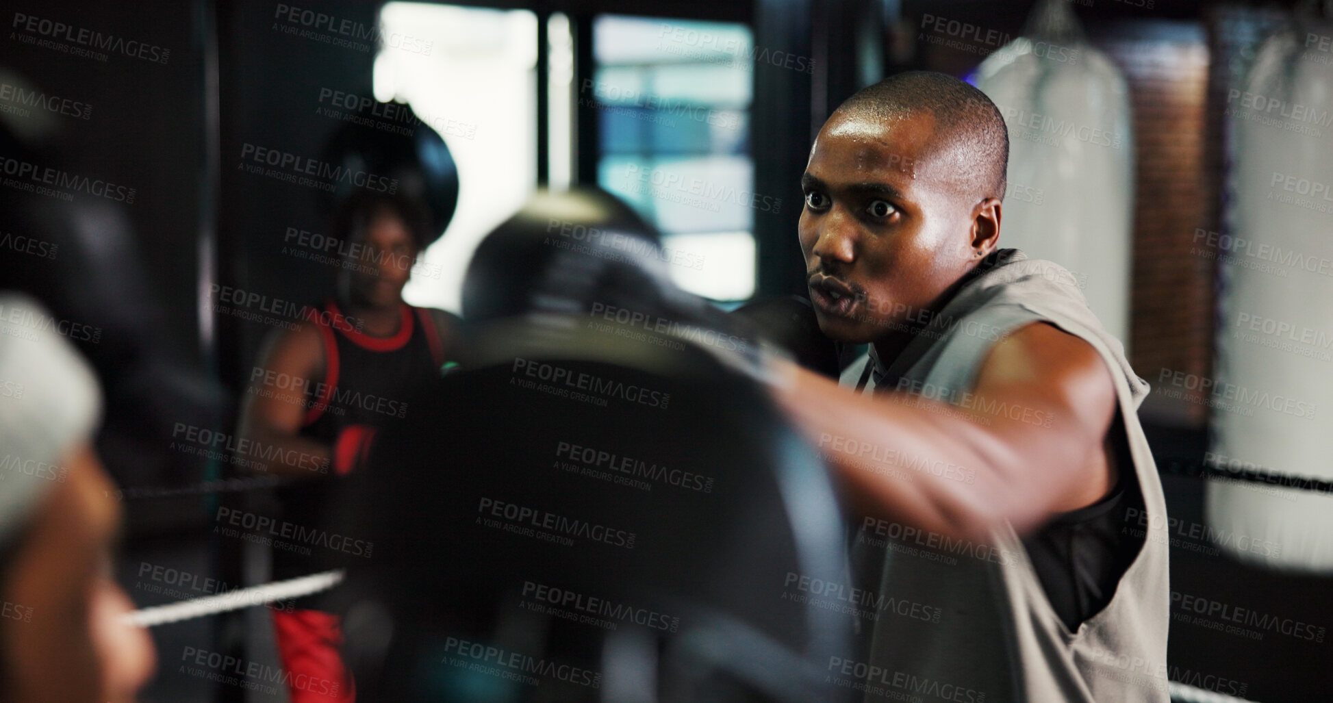 Buy stock photo Fitness, sports and training with people in boxing ring for combat, self defense or sparring. Boxer, challenge and fight with men punching in gym for competition, exercise or performance as athlete