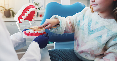 Buy stock photo Hands, child and dentist with teeth model for medical check, mouth hygiene or dental health. Tooth decay, brushing procedure and teaching patient in clinic for oral care, advice or plastic mold