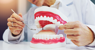 Buy stock photo Hands, person and dentist with mirror for teeth mold with demonstration, oral hygiene and education. Woman, props and structure for dental training, gum health and canal procedure for cavity solution