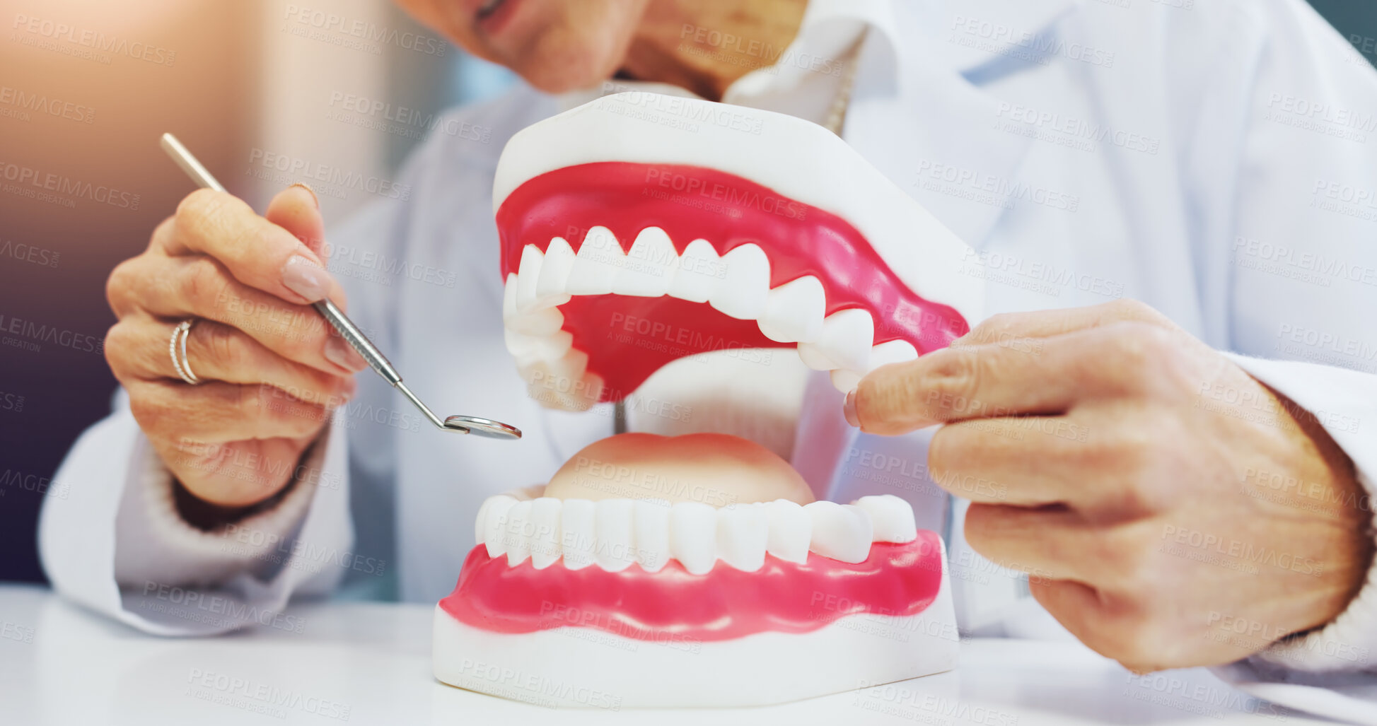 Buy stock photo Hands, person and dentist with mirror for teeth mold with demonstration, oral hygiene and education. Woman, props and structure for dental training, gum health and canal procedure for cavity solution