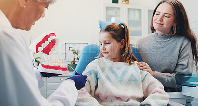 Buy stock photo Mom, dentist and child with teeth for teaching, consultation or learning oral hygiene in office with advice. Mother, woman and girl in discussion at clinic with tooth model for dental care education