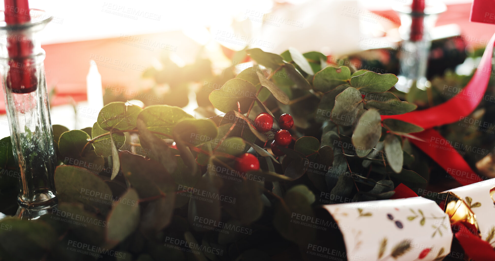 Buy stock photo Christmas, decorations and plants on table in house dining room for festive celebration, event or lunch. Xmas season, tradition and floral design for holiday with social gathering in December in home