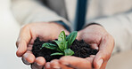 Hands, business person and plant for ecology, earth day and sustainability for financial growth. Closeup, soil and worker with leaves for conservation, climate change and green investment for esg