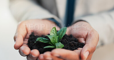 Buy stock photo Hands, business person and plant for ecology, earth day and sustainability for financial growth. Closeup, soil and worker with leaves for conservation, climate change and green investment for esg