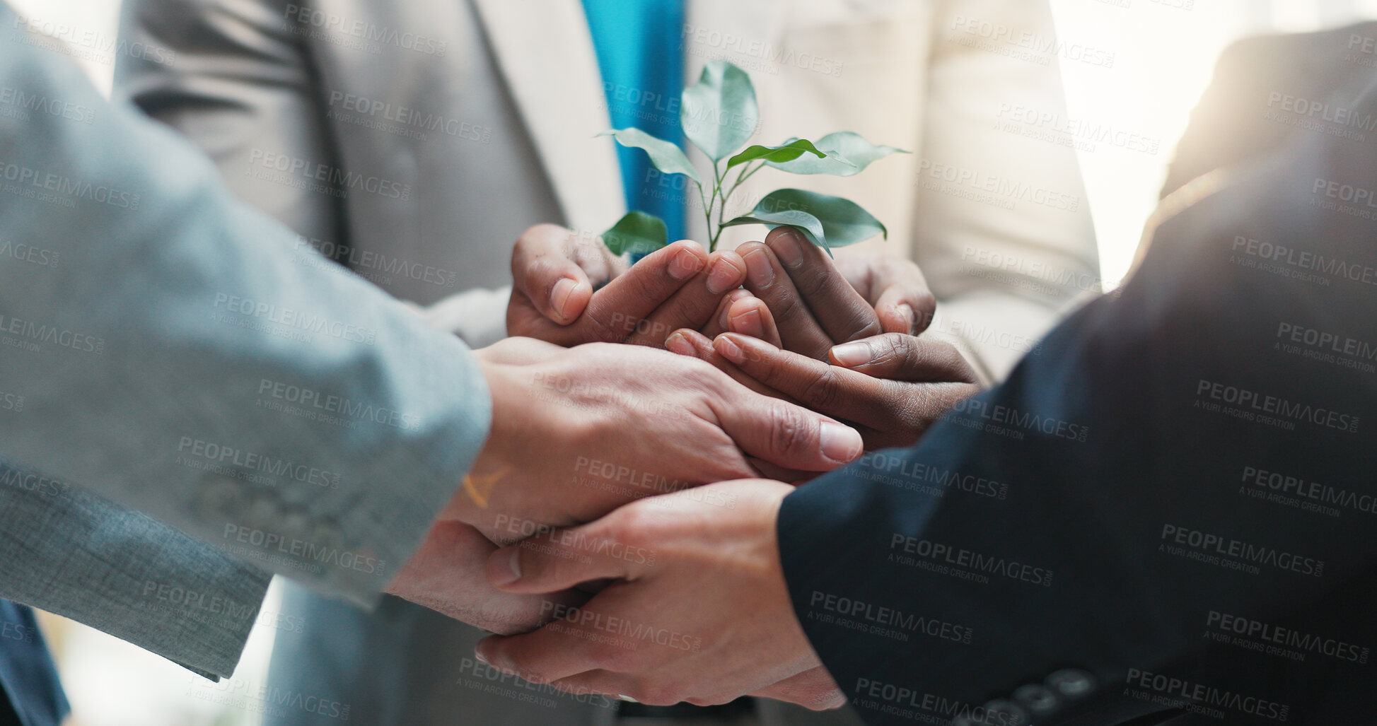 Buy stock photo Hands, business people and group with plant for ecology, earth day or sustainability for growth. Team, soil or workers with leaves for conservation, climate change or protect environment with support
