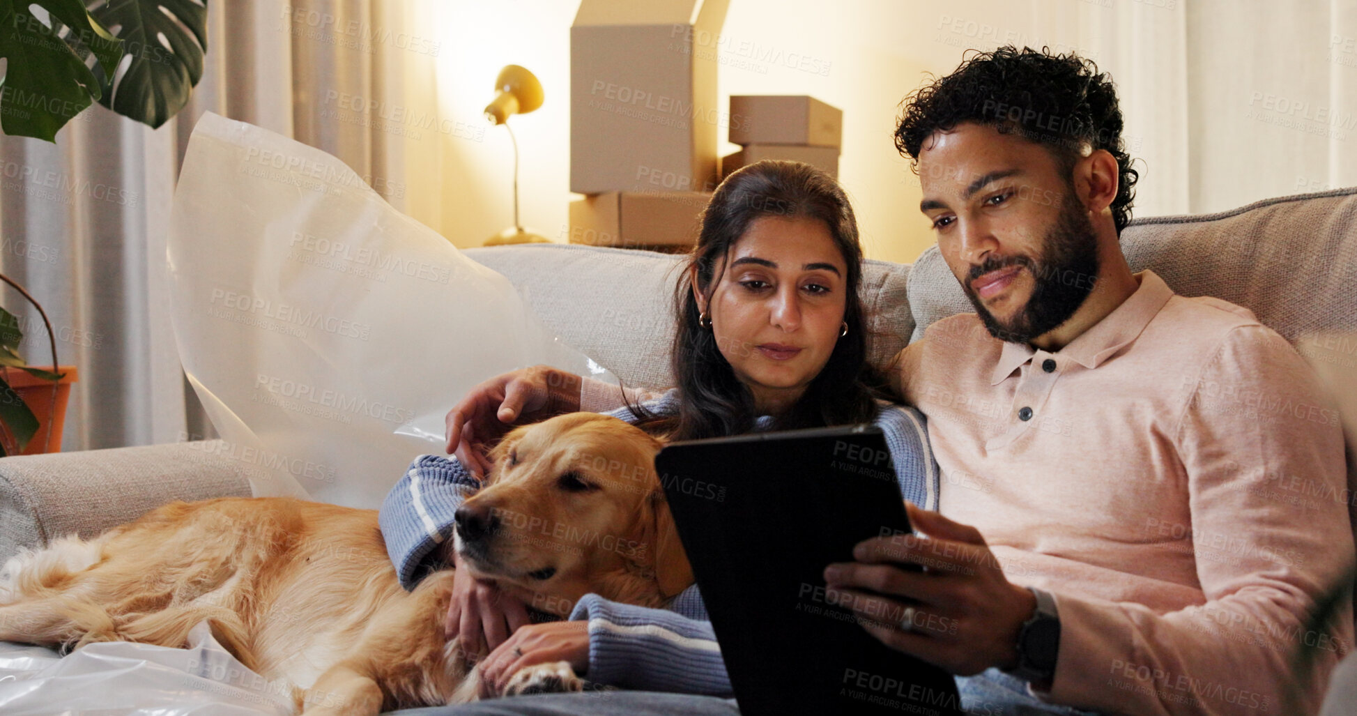 Buy stock photo Dog, relax and tablet with couple in new home for moving house, property investment or relocation. App, boxes and real estate with happy people in living room of apartment for break together