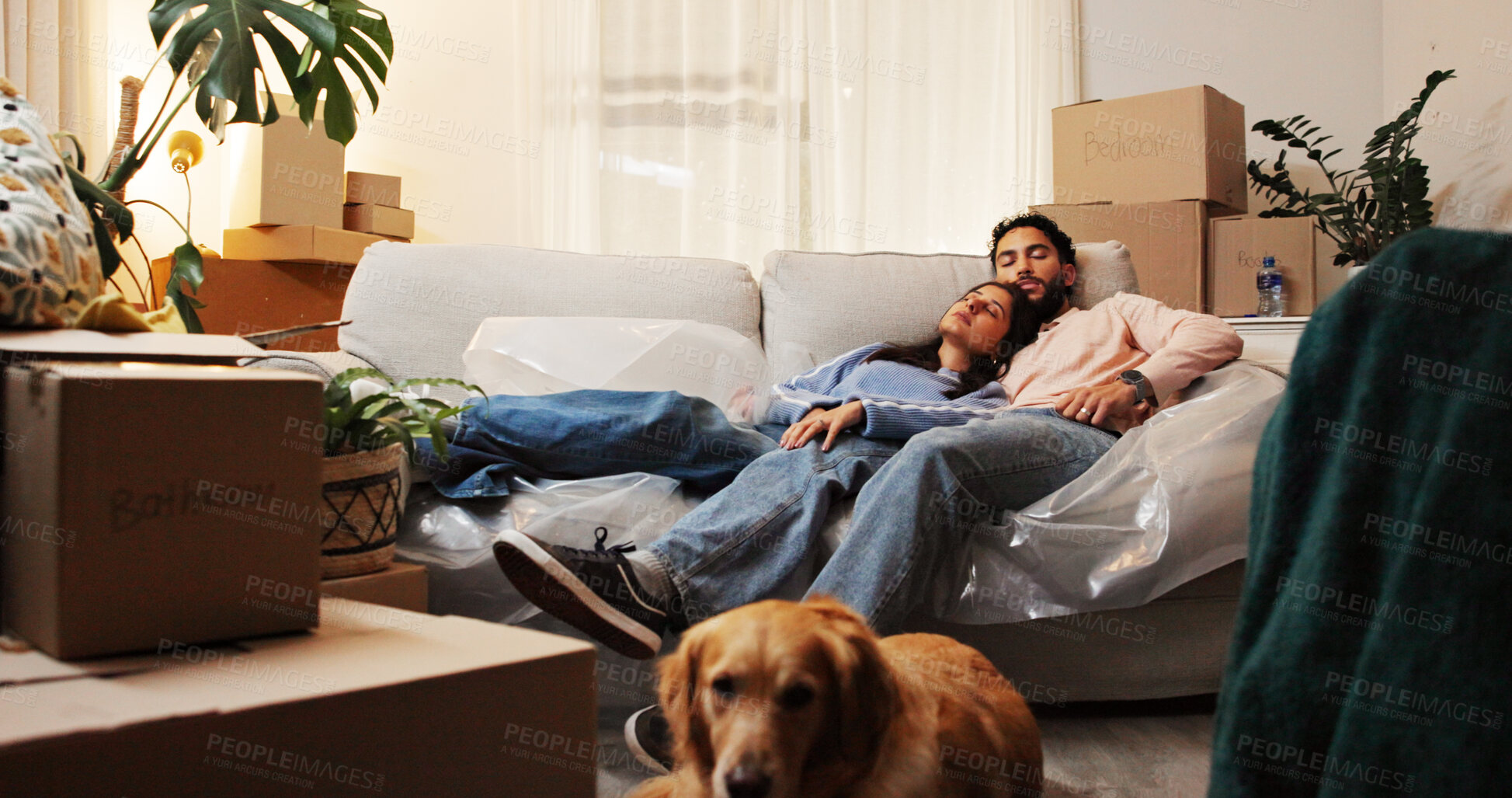 Buy stock photo Dog, moving in and couple sleeping in new home for relocation fatigue, security and investment. Exhausted, people and resting at night for unpacking burnout, real estate goals and pet friendly house