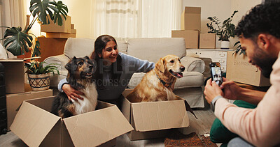 Buy stock photo Smile, woman and picture with dogs at new house for photography, social media post and memory. Happy, couple and animal in box for profile update, pet friendly and bonding together of home relocation