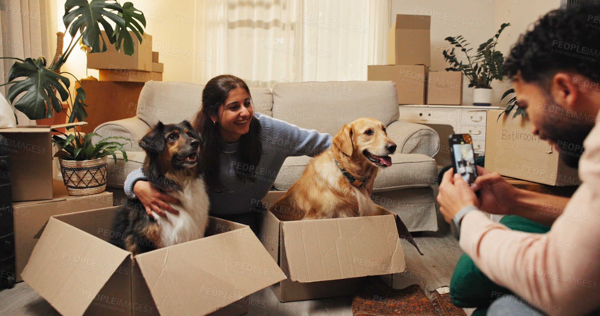 Buy stock photo Smile, woman and picture with dogs at new house for photography, social media post and memory. Happy, couple and animal in box for profile update, pet friendly and bonding together of home relocation
