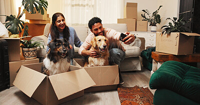 Buy stock photo Smile, couple and selfie with dogs at new house for photography, social media post and memory. Happy, people and animals in box for profile picture update, pet friendly and bonding of home relocation