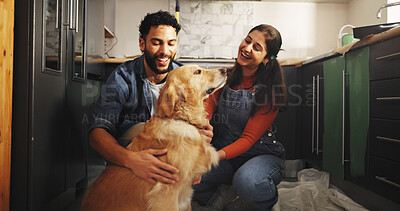 Buy stock photo Painting, dog and smile with couple in kitchen for bonding, remodeling and animal care. Happiness, renovation and petting golden retriever with man and woman for home improvement and diy project