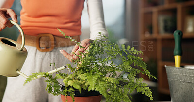 Buy stock photo Watering, indoor and hands of woman with plant for healthy leaves, growth and moisture for soil. Home, gardening hobby and person with can for fern maintenance, floral care and natural foliage