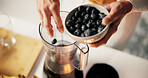 Person, hands or blender with blueberries or fruit ingredients for smoothie or healthy diet in home. Top view, closeup or nutritionist with juice mixer for natural organic drink or vitamins in house