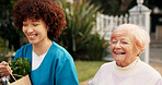 Home, groceries and senior woman with nurse for assistance, support and care walking to door. Retirement, caregiver and elderly person with shopping bag of food outdoor for kindness, service and help