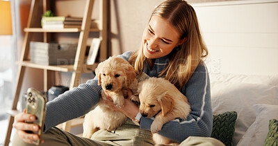 Buy stock photo Selfie, bed and smile with woman and puppies for social media post, pet influencer and love. Dog content creator, photography and golden retriever with person in home for animal care and trust