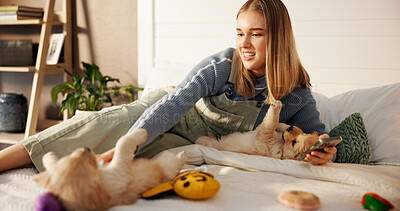 Buy stock photo Phone, woman and playing with puppies on bed for bonding, pet adoption or search health insurance. Dog mom, girl and relax with labrador animals for furry companion, belly rub or social media in home