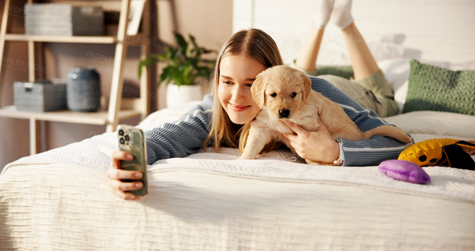 Buy stock photo Smile, girl and selfie with puppy on bed for adoption memory, social media update or development. Dog mom, insurance and photography with labrador in home for profile picture, companion or connection