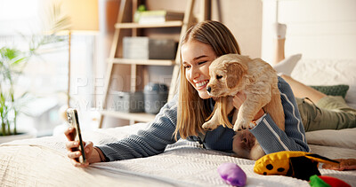Buy stock photo Selfie, happy and puppy with woman in home for social media post, pet influencer and love. Dog content creator, photography and golden retriever with person in apartment for animal care and trust