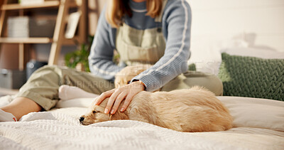 Buy stock photo Hands, stroke puppy and comfort on bed in home, love and bonding with care for rest on blanket. Person, dog and pet animal with trust, cuddle or touch fur with loyalty in bedroom at apartment