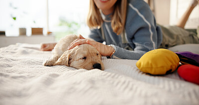 Buy stock photo Bed, hands and woman with puppy in home with smile for bonding, relationship and best friends. Happy, pet owner and person with sleeping Golden Retriever dog in bedroom for resting, cuddle and relax