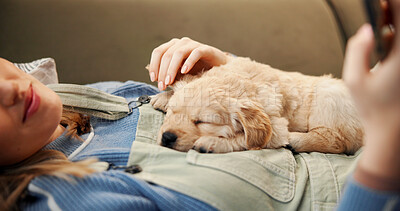 Buy stock photo Sofa, relax and woman with puppy and phone for social media, internet and text message in home. Online, pet owner and person with Golden Retriever dog for bonding, care and sleeping on smartphone