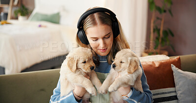 Buy stock photo Headphones, woman and relax with puppies in home for bonding together, adoption or music playlist. Animal rescue, girl or listening to audio with Labrador dogs for pet insurance or connection on sofa