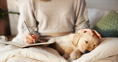 Buy stock photo Owner, sleeping and writing with puppy on lap of person in bedroom of home for bonding or relax. Break, dog or notebook with pet labrador and woman on bed in apartment for loyalty or security
