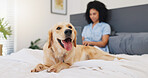 Portrait, dog and woman on bed, house or golden retriever with loyalty for owner in bedroom or rest. Morning, canine and domestic animal with person in apartment, relax and pet on mattress on weekend