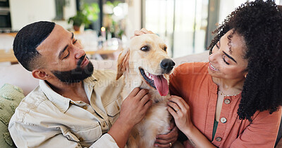 Buy stock photo Couple, dog and smile on sofa, relax and bonding with care, connection and stroke in living room. People, woman and man with pet, golden retriever or happy for cuddle on couch in lounge at apartment