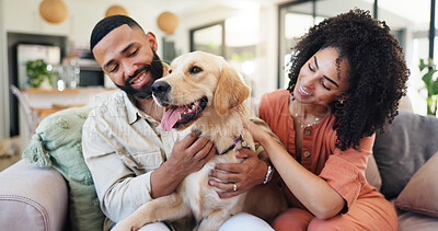 Buy stock photo Couple, dog and happy on sofa, relax and bonding with care, connection or stroke in lounge. People, woman and man with pet, golden retriever or love with cuddle for trust in relationship at house