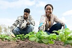 Farmers, plant vegetables and smile for growth, community garden and green rows. Agriculture, man and woman with saplings, eco friendly and natural life for health, wellness and happy with produce.