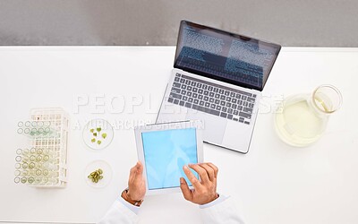 Buy stock photo Scientist hands, tablet screen and space, person in lab with leaves in petri dish and laptop, research info for science. Top view, environment study and test tube with digital mockup and agriculture