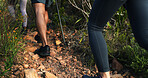 Trail, legs or people in nature for trekking journey, outdoor adventure or walk together. Group, footwear or shoes of hikers in forest for travel, vacation or hobby for tourism discovery with friends